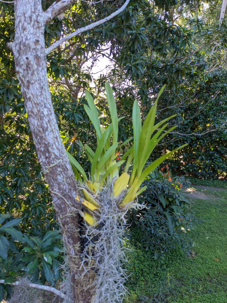 Beachmere Escape Nature